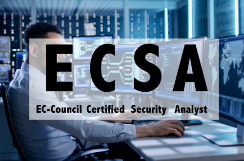ECSA2